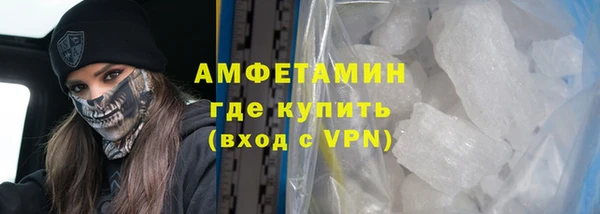 прущие грибы Аркадак