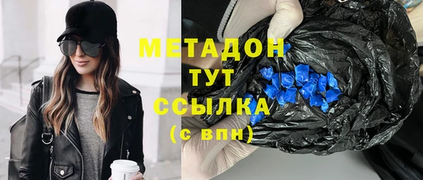 прущие грибы Аркадак