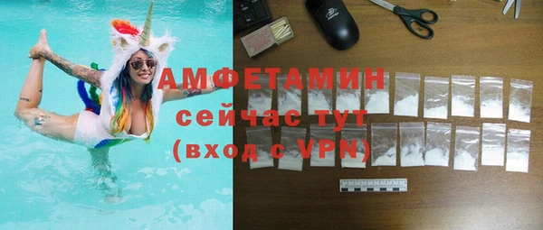 прущие грибы Аркадак