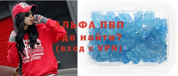 прущие грибы Аркадак
