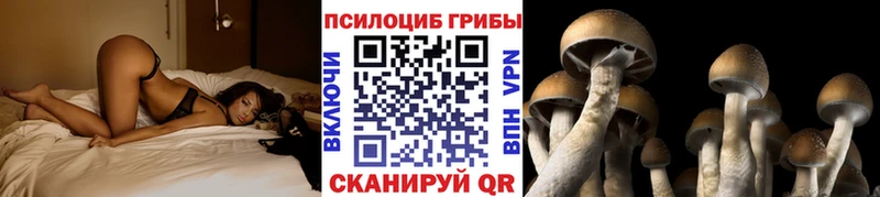 Псилоцибиновые грибы Magic Shrooms  Армянск 
